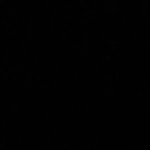 Meet your Posher, Lyndsey